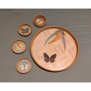Vintage Bamboo Pressed Butterfly Tray and Coaster Set 1970s - Tray & 4 Coasters